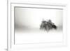 In the Mist I-Alan Hausenflock-Framed Photographic Print