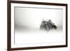 In the Mist I-Alan Hausenflock-Framed Photographic Print