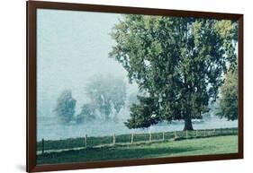 In the Mist of an Early Morning-Jacob Berghoef-Framed Photographic Print