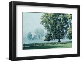 In the Mist of an Early Morning-Jacob Berghoef-Framed Photographic Print
