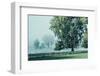 In the Mist of an Early Morning-Jacob Berghoef-Framed Photographic Print