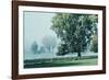 In the Mist of an Early Morning-Jacob Berghoef-Framed Photographic Print