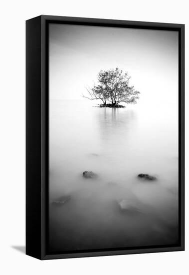 In the Mist-null-Framed Stretched Canvas