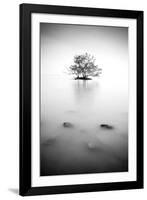 In the Mist-null-Framed Photographic Print