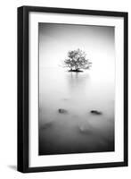 In the Mist-null-Framed Photographic Print