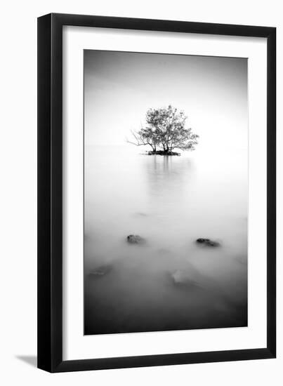 In the Mist-null-Framed Photographic Print