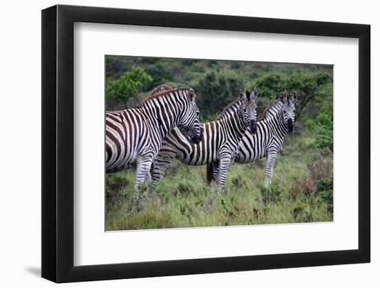 In the Mood-Bratovanov-Framed Photographic Print