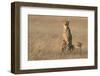 In the Morning Glow-Renee Doyle-Framed Photographic Print