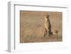 In the Morning Glow-Renee Doyle-Framed Photographic Print