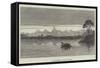 In the Morumbala Marsh, East Africa-null-Framed Stretched Canvas