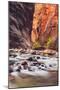 In The Narrows Autumn Southern Utah Ziona National Park-Vincent James-Mounted Photographic Print