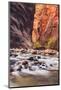 In The Narrows Autumn Southern Utah Ziona National Park-Vincent James-Mounted Photographic Print