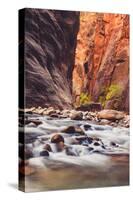 In The Narrows Autumn Southern Utah Ziona National Park-Vincent James-Stretched Canvas