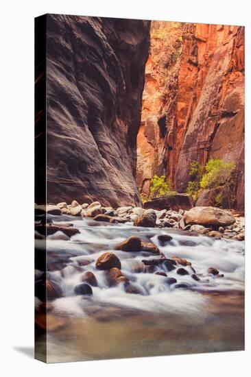 In The Narrows Autumn Southern Utah Ziona National Park-Vincent James-Stretched Canvas