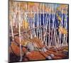 In the North Land-Tom Thomson-Mounted Premium Giclee Print