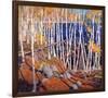 In the North Land-Tom Thomson-Framed Premium Giclee Print