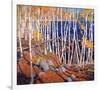 In the North Land-Tom Thomson-Framed Premium Giclee Print