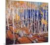 In the North Land-Tom Thomson-Mounted Premium Giclee Print