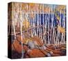 In the North Land-Tom Thomson-Stretched Canvas