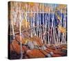 In the North Land-Tom Thomson-Stretched Canvas