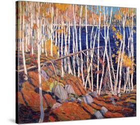 In the North Land-Tom Thomson-Stretched Canvas