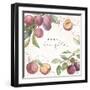 In the Orchard IV-Silvia Vassileva-Framed Art Print