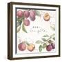 In the Orchard IV-Silvia Vassileva-Framed Art Print