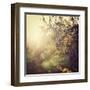 In the Orchard-Irene Suchocki-Framed Giclee Print