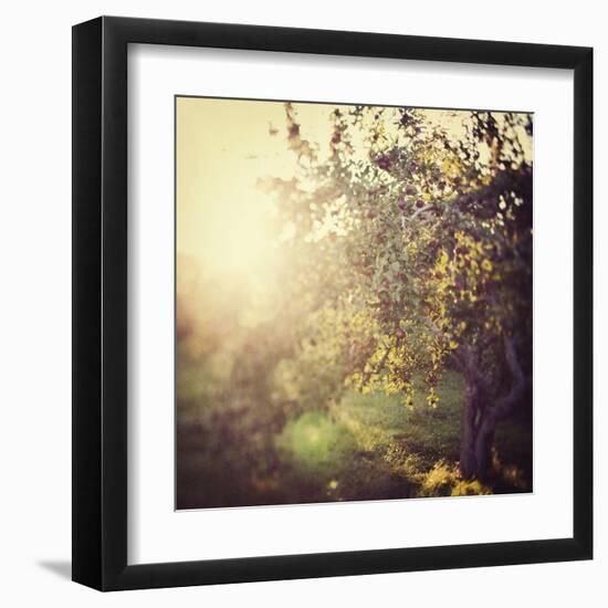 In the Orchard-Irene Suchocki-Framed Giclee Print