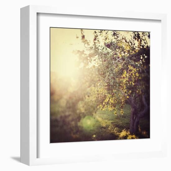 In the Orchard-Irene Suchocki-Framed Giclee Print