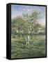 In the Orchard-Lucien Frank-Framed Stretched Canvas