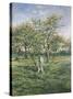 In the Orchard-Lucien Frank-Stretched Canvas