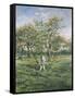 In the Orchard-Lucien Frank-Framed Stretched Canvas