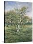 In the Orchard-Lucien Frank-Stretched Canvas