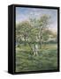 In the Orchard-Lucien Frank-Framed Stretched Canvas