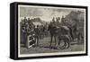 In the Paddock, a Sale of Brood-Mares and their Foals-John Charlton-Framed Stretched Canvas