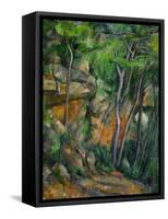 In the Park at Chateau Noir, 1898-1900-Paul Cézanne-Framed Stretched Canvas