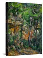 In the Park at Chateau Noir, 1898-1900-Paul Cézanne-Stretched Canvas