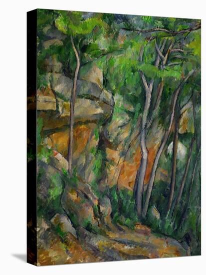 In the Park at Chateau Noir, 1898-1900-Paul Cézanne-Stretched Canvas