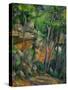 In the Park at Chateau Noir, 1898-1900-Paul Cézanne-Stretched Canvas