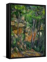 In the Park at Chateau Noir, 1898-1900-Paul Cézanne-Framed Stretched Canvas
