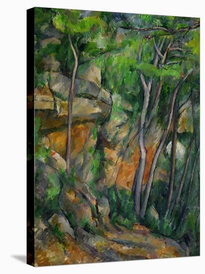 In the Park at Chateau Noir, 1898-1900-Paul Cézanne-Stretched Canvas