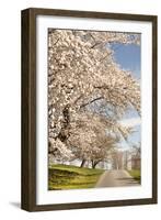 In the Park I-Karyn Millet-Framed Photographic Print