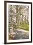 In the Park II-Karyn Millet-Framed Photographic Print