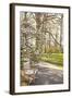 In the Park II-Karyn Millet-Framed Photographic Print