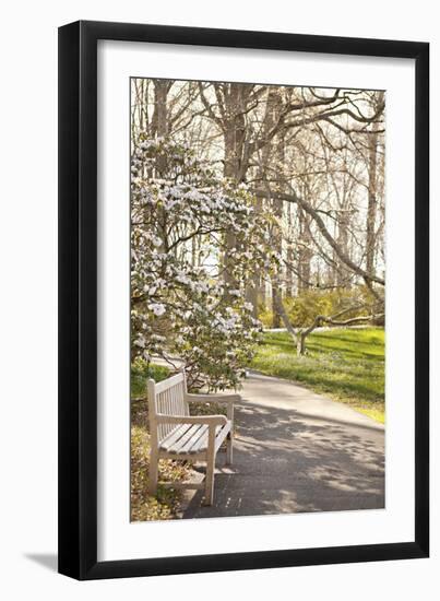 In the Park II-Karyn Millet-Framed Photographic Print