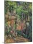 In the Park of Chateau Noir, circa 1896-99-Paul Cézanne-Mounted Giclee Print