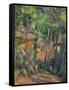 In the Park of Chateau Noir, circa 1896-99-Paul Cézanne-Framed Stretched Canvas