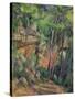 In the Park of Chateau Noir, circa 1896-99-Paul Cézanne-Stretched Canvas