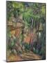 In the Park of Chateau Noir, circa 1896-99-Paul Cézanne-Mounted Giclee Print